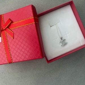 Cecilia silver luxury charm on unbranded necklace